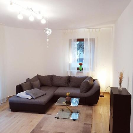 Ebenerdige Ferienwohnung Mit Grosser Terrasse In Der Naehe Des Waldes, Zum Wohlfuehlen Schoneck Zewnętrze zdjęcie