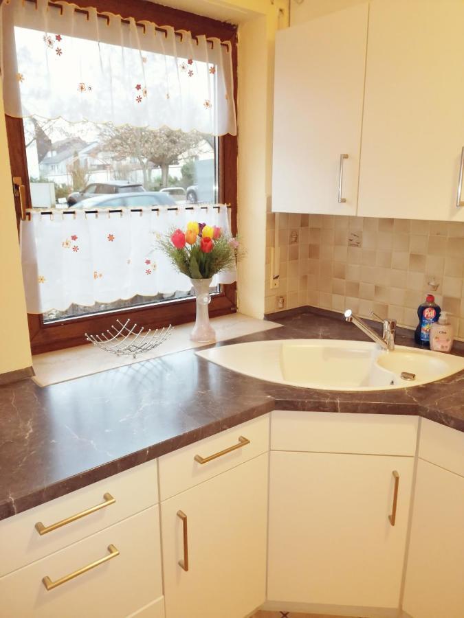 Ebenerdige Ferienwohnung Mit Grosser Terrasse In Der Naehe Des Waldes, Zum Wohlfuehlen Schoneck Zewnętrze zdjęcie