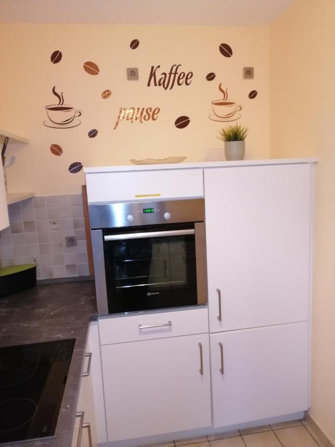 Ebenerdige Ferienwohnung Mit Grosser Terrasse In Der Naehe Des Waldes, Zum Wohlfuehlen Schoneck Zewnętrze zdjęcie